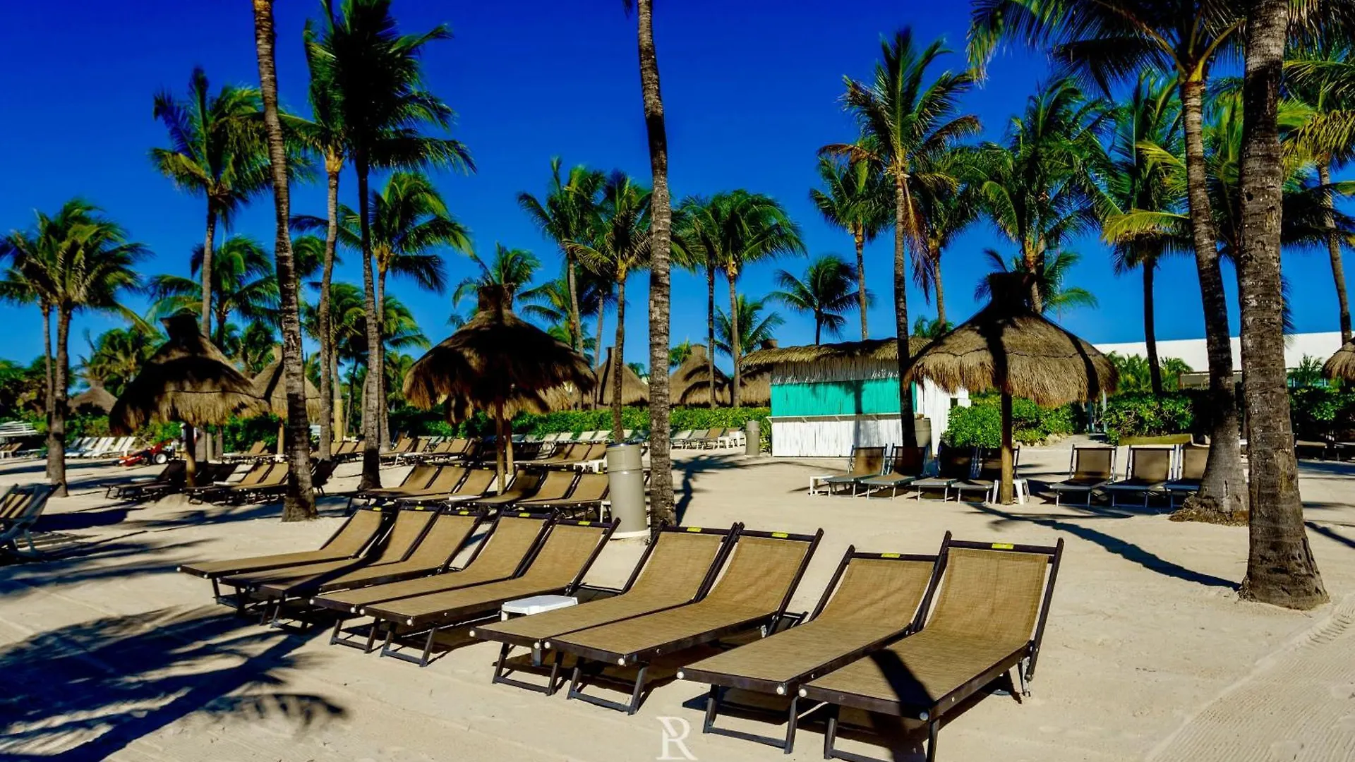 منتجع Estates One Bedroom- Riviera Maya بويرتو موريلوس