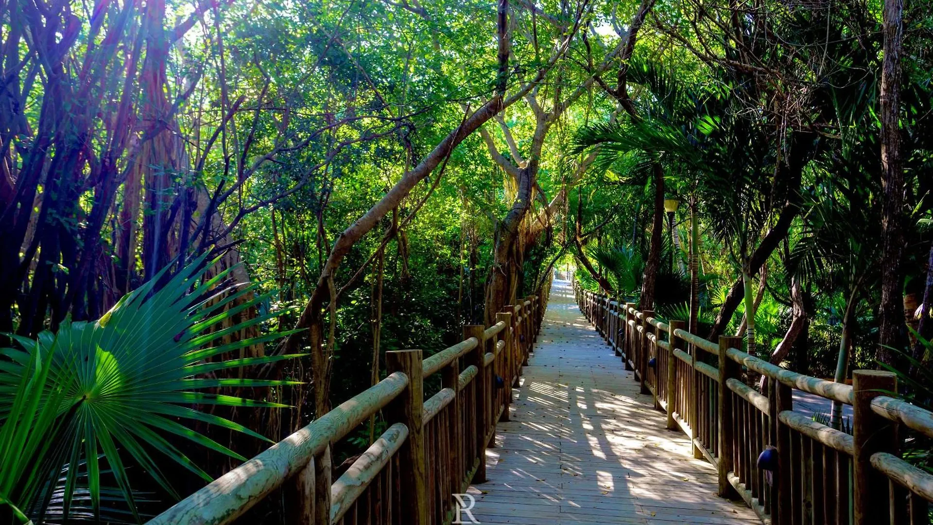 منتجع Estates One Bedroom- Riviera Maya بويرتو موريلوس المكسيك