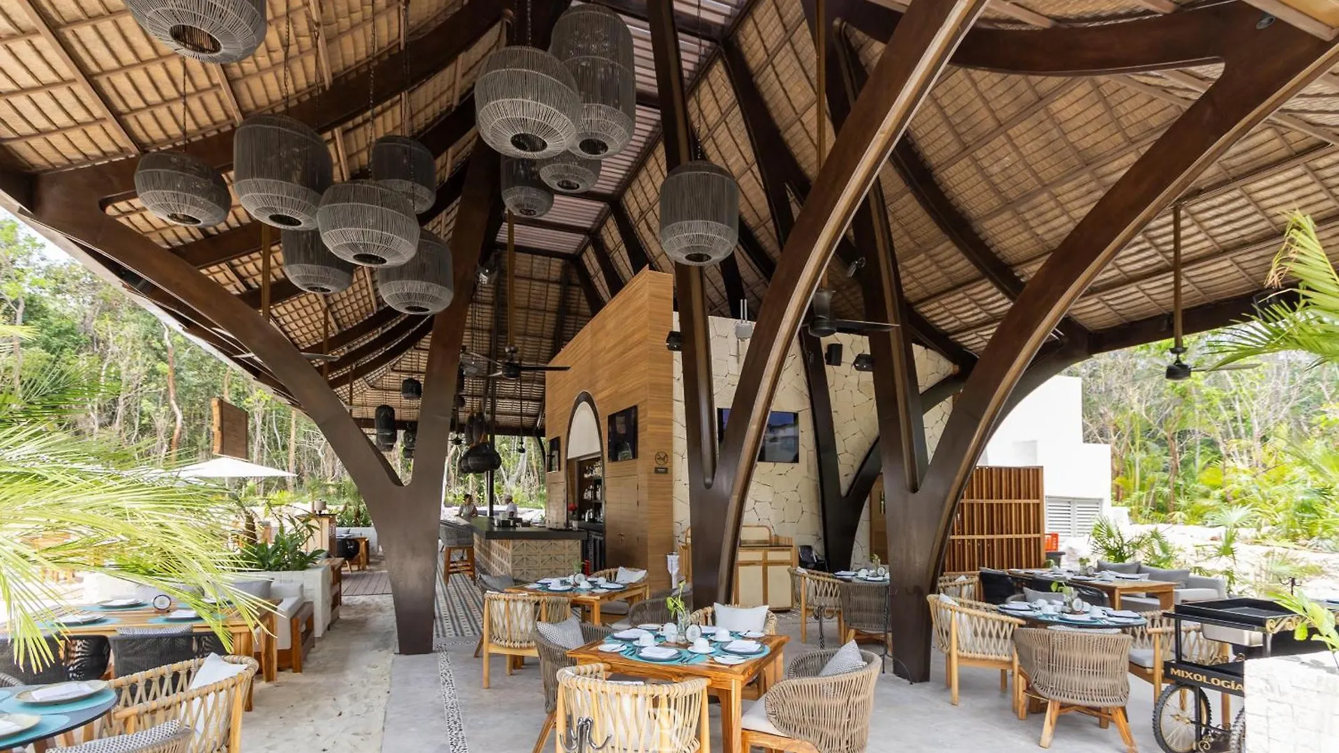 Estates One Bedroom- Riviera Maya بويرتو موريلوس منتجع
